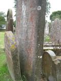 image of grave number 559296